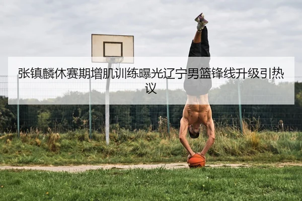 张镇麟休赛期增肌训练曝光辽宁男篮锋线升级引热议